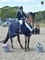  Julie Greig & Titus JX win the Scottish Branch 1m Amateur Championship 2025